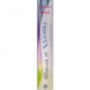 Vanille Spirit of Vinaiki indische Räucherstäbchen Padma Store